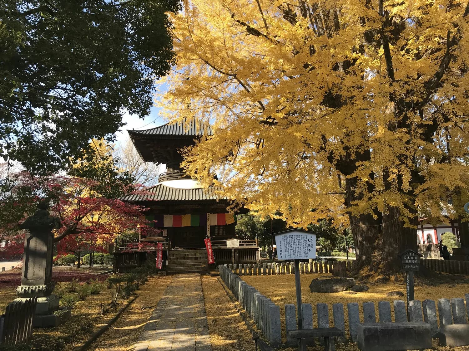 天王补心丹治疗焦虑症：中医理论与现代研究的双重验证