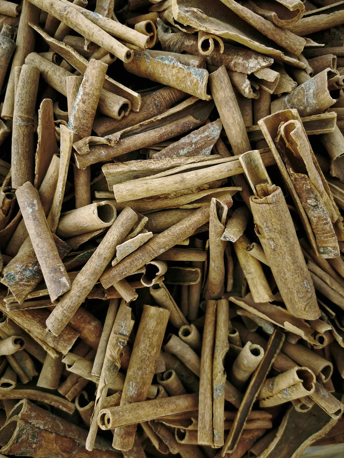 合欢皮治失眠，温和有效不依赖