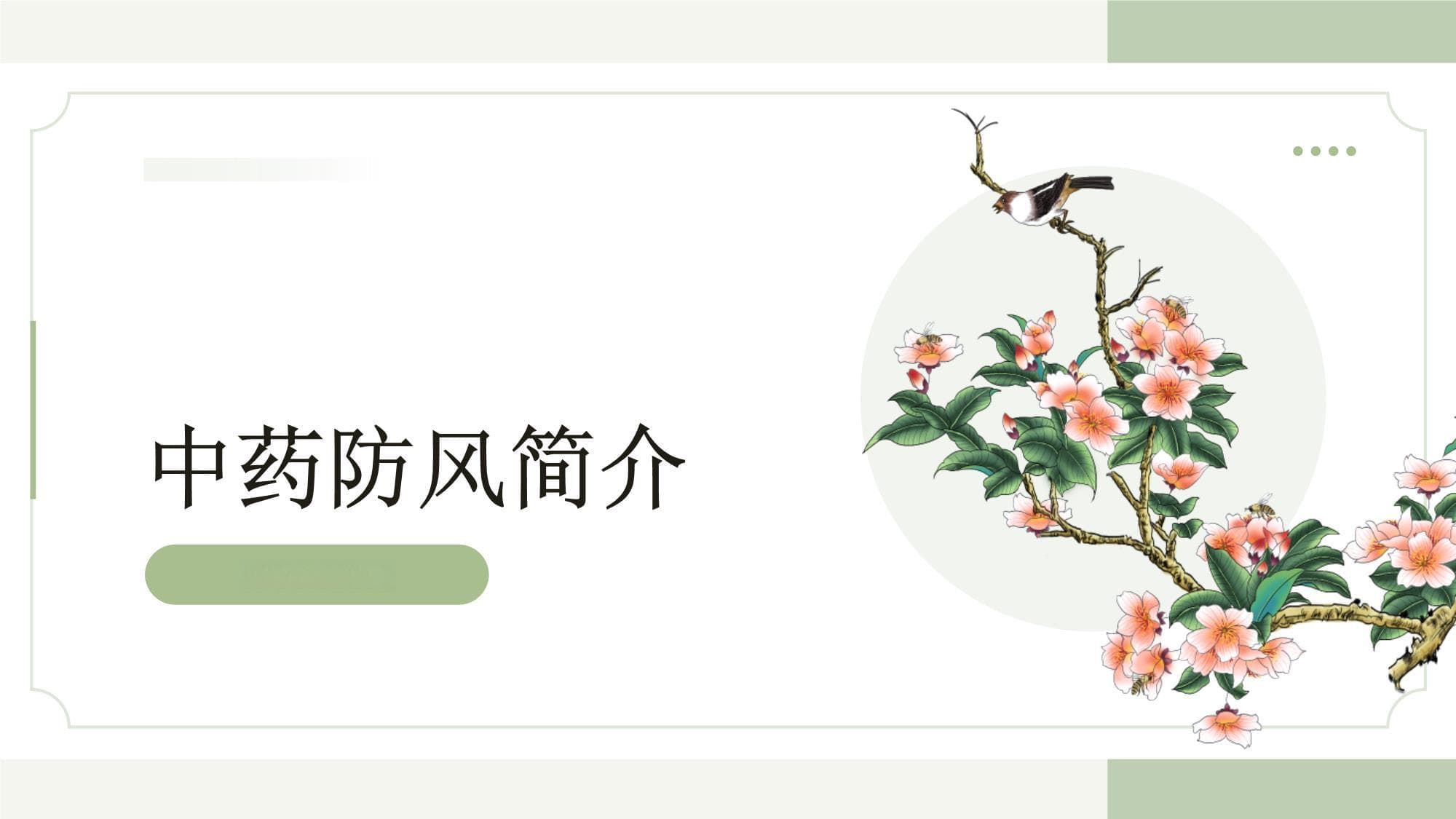 中药防风：从植物特性到临床应用的全面解析