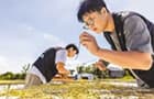 年轻人乡村创业让农业变精致