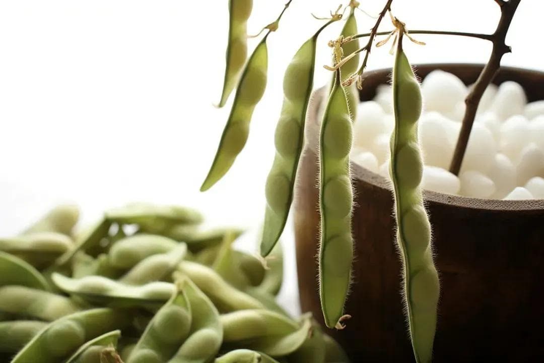 毛豆竟是肾衰的“加速器”？不想肾罢工，牢记吃菜3多2少