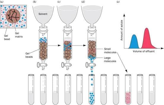 分子生物学方法学介绍|蛋白纯化常用方法