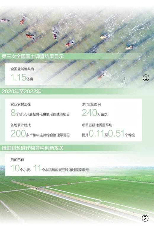 稻蟹共生 一田双收