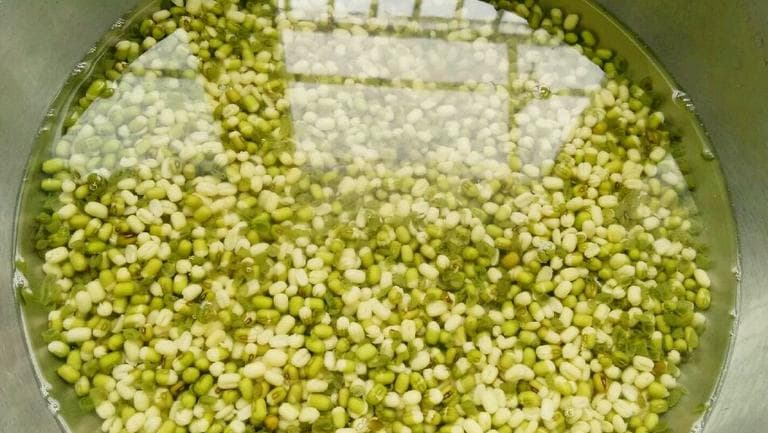 绿豆水的功效与作用、禁忌和食用方法