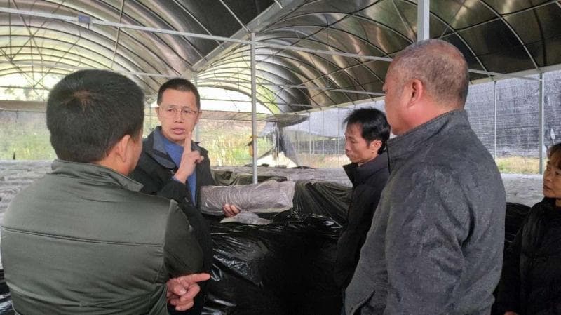 福建永春：“理论课堂+田间实训”助力食用菌产业提质增效