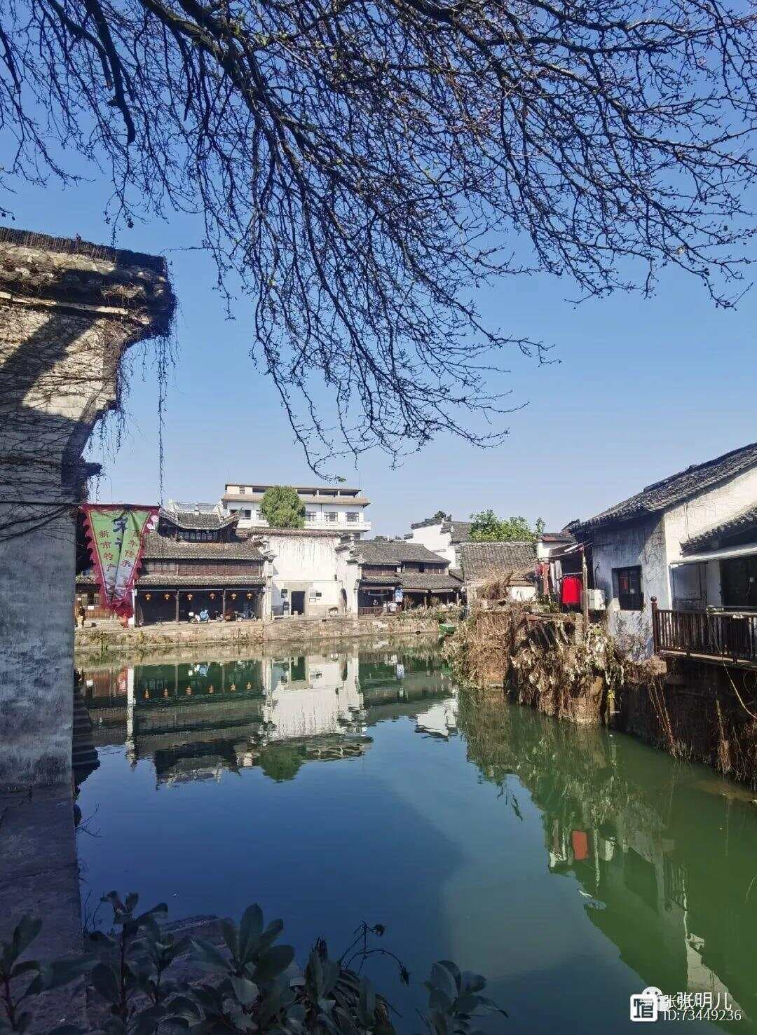 新市与乌镇的往来：宋韵文化佳话三则
