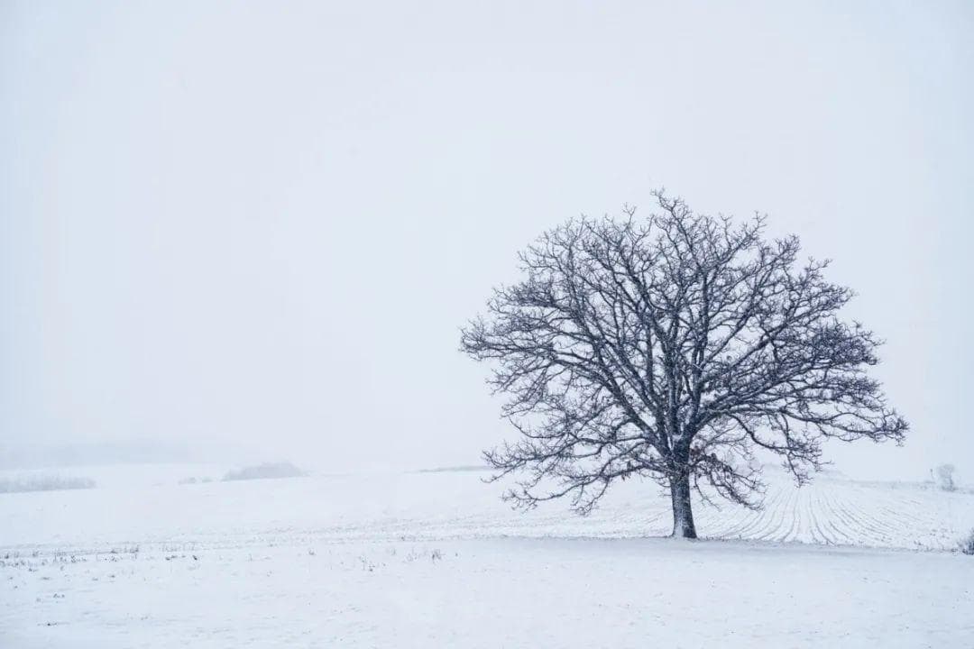 雪天路滑，怎样预防滑倒摔伤？