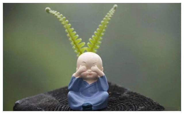 当你完全看透这几个"因果"，一切痛苦都会离你而去