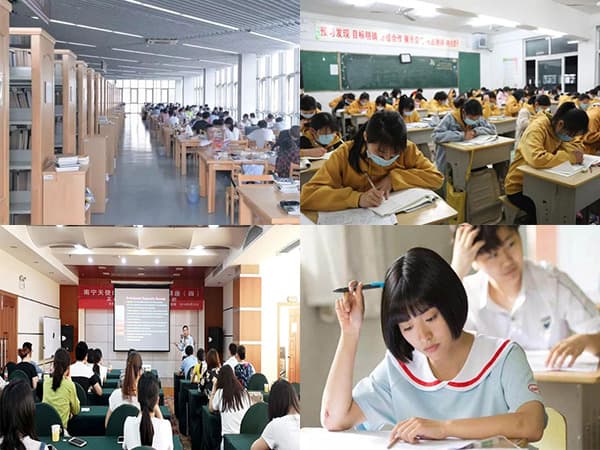 2025年单招的公办大专有哪些