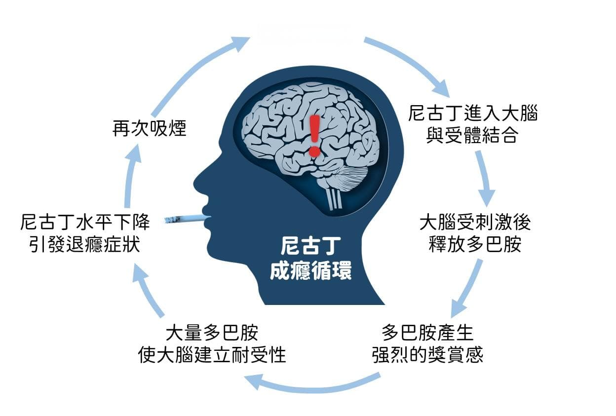 揭秘尼古丁成瘾：如何一步步陷入烟草陷阱