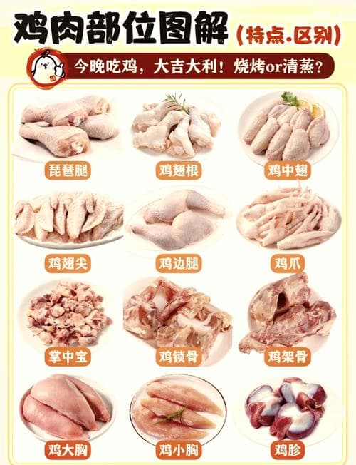 琵琶腿,鸡肉中的佳品，烹饪中的多面手