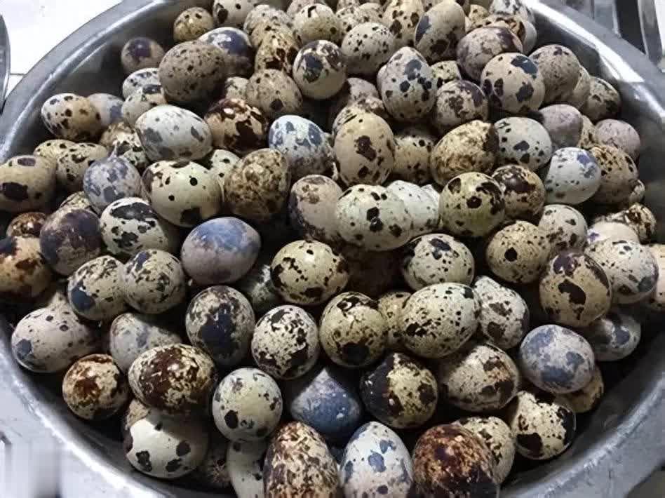 鹌鹑蛋新吃法！不蒸不煮，全家老小都爱吃