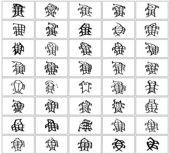 说文解字：鱼，鱼字下四点灬为什么是火