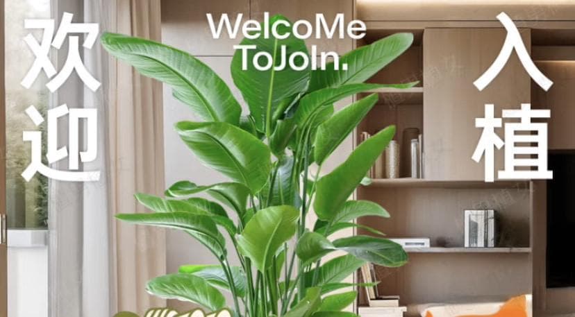 绿植谁不喜欢呢？绿植选购指南来啦