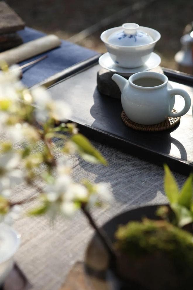 茶被正式纳入“健康食品”，这些健康功效你都知道吗？