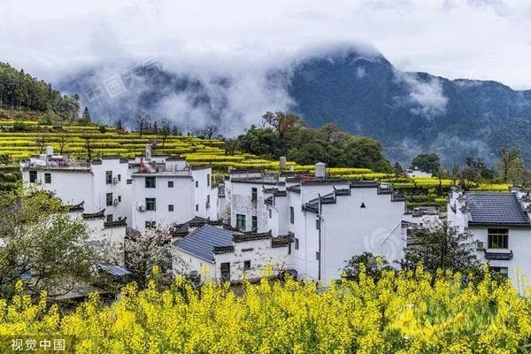 春天去哪儿看花？这份全国春日赏花地图带你找找灵感