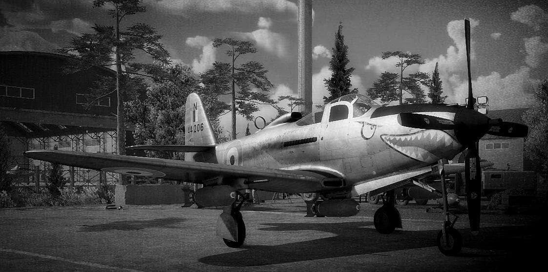 P-63C-5“眼镜王蛇”战斗机技术资料