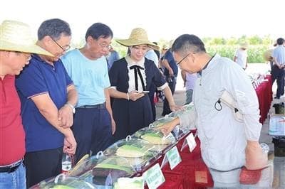 绿水青山为墨 勾勒延庆农业新蓝图