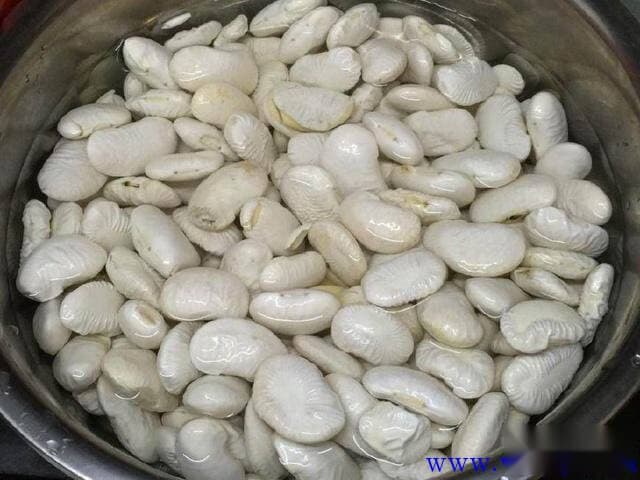 什么肥料养花最好？种花施什么肥料最好