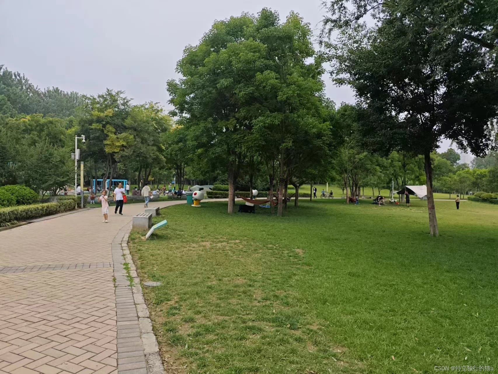 《纳瓦尔宝典》：关于成功与幸福的智慧