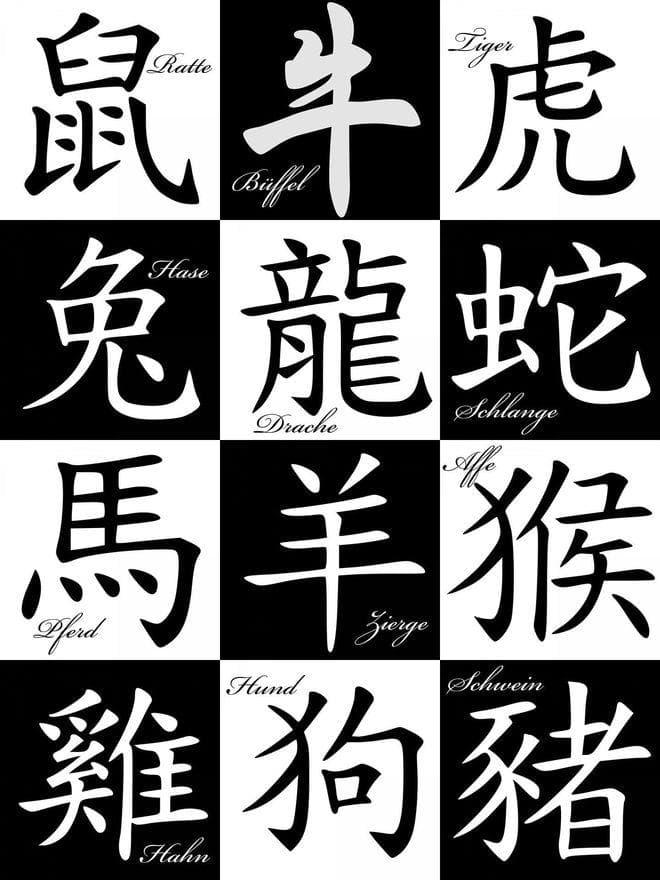 十二生肖的奥秘：十二时辰里的动物传奇
