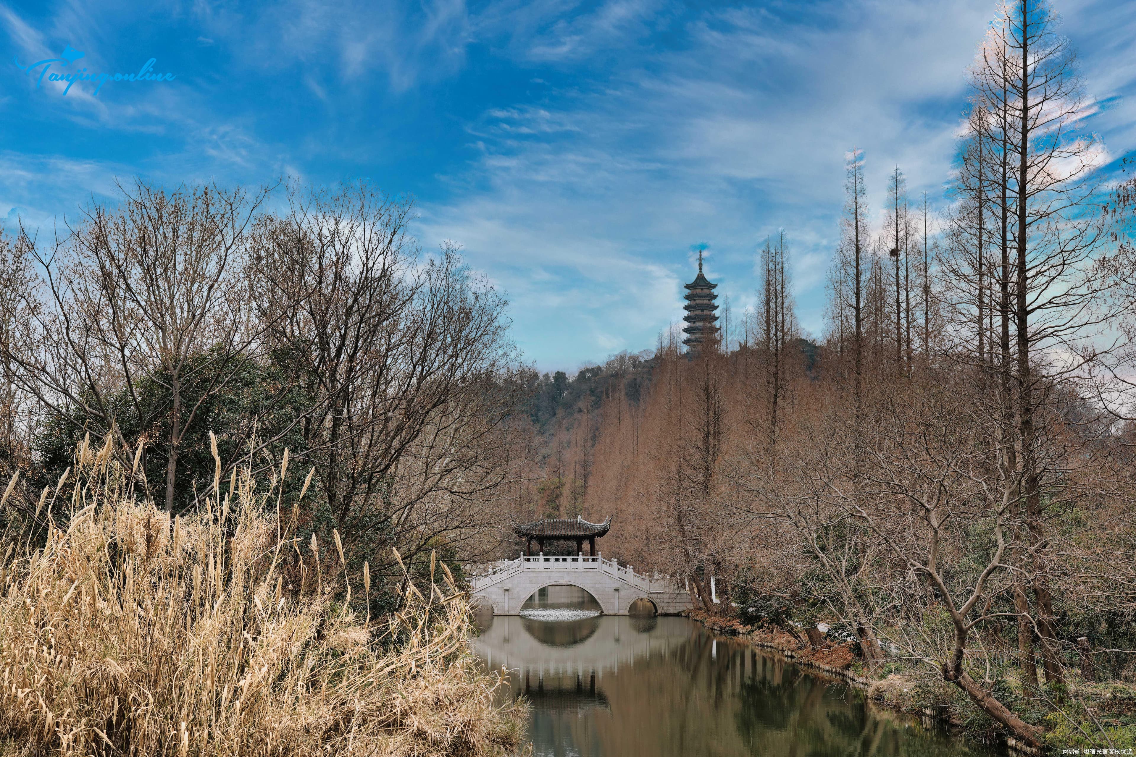 2025镇江焦山与定慧寺深度游攻略：江中浮玉的诗意与禅意