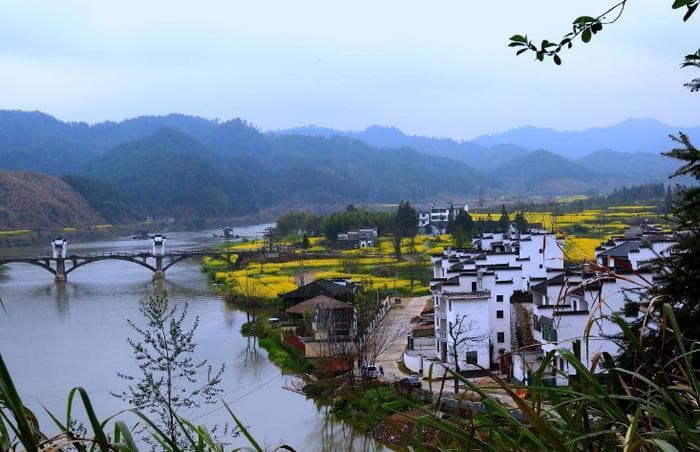 婺源：篁岭晒秋、江岭花田，在粉墙黛瓦间寻觅最美乡村