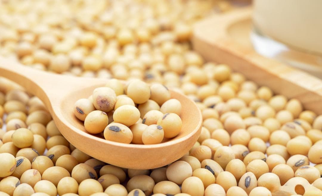 豆浆、豆奶和豆乳，别再迷糊啦！一文看懂怎么选！
