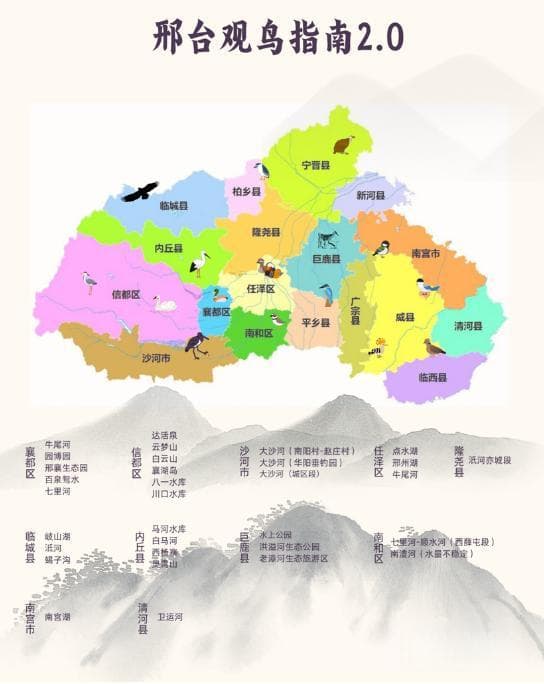 30余处最佳观鸟点位公布！具体位置→