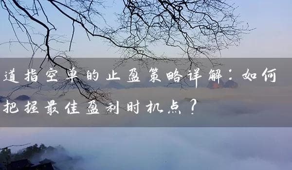 道指空单的止盈策略详解：如何把握最佳盈利时机点？