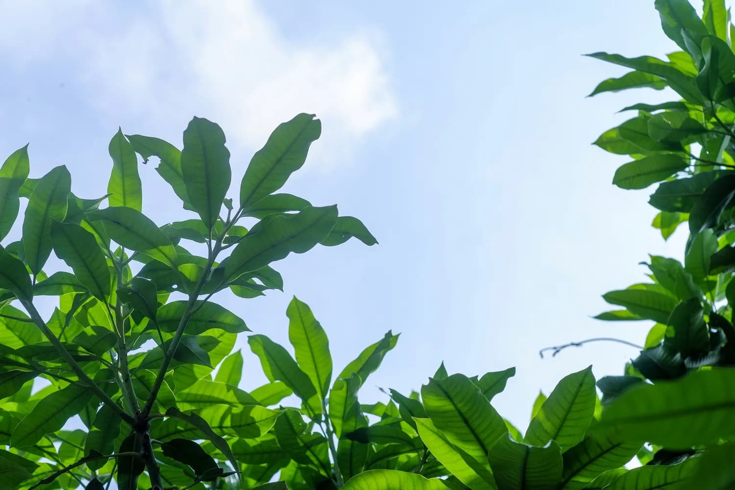 冬季皮肤瘙痒？润燥止痒胶囊来帮忙