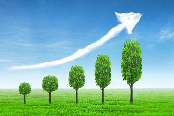 高效液相色谱（HPLC）在药物合成中的应用与分析