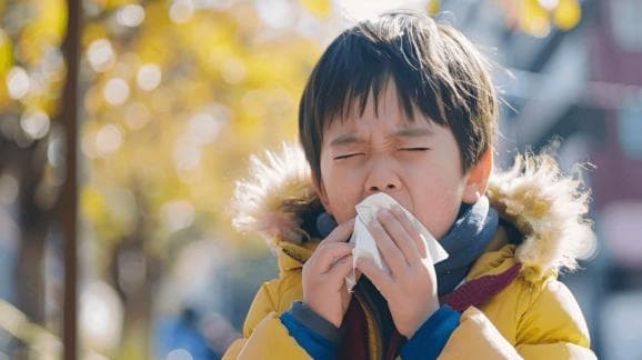 流感高发季来临：怎么区分流感和普通感冒？如何进行多病共防？