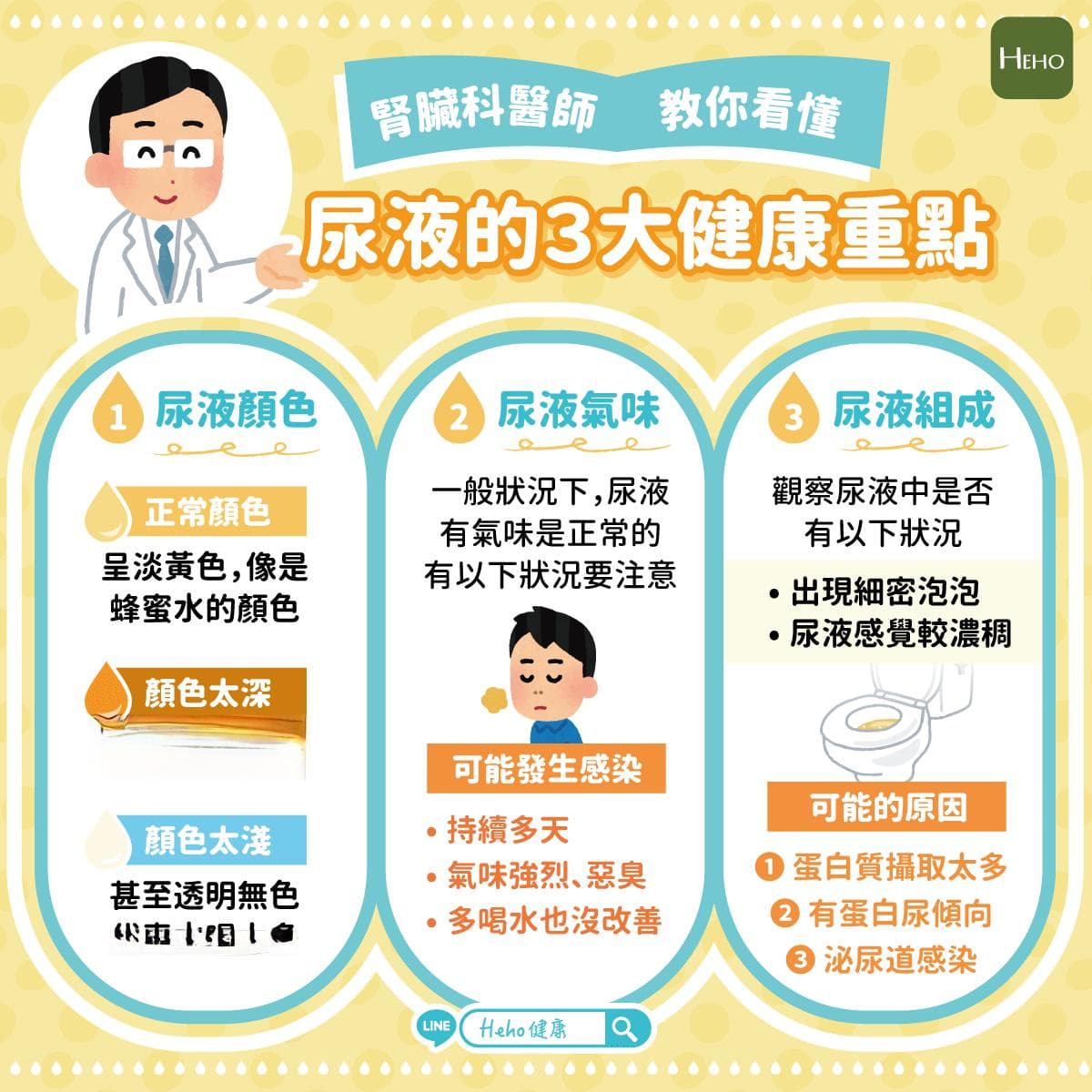 一圖教你看懂尿液的 3 大健康重點