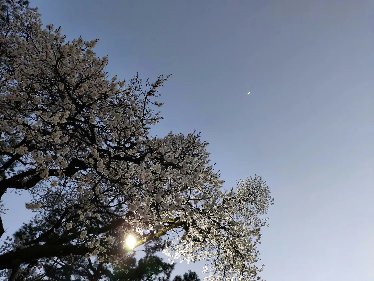 立春倒计时：精准时刻揭秘！