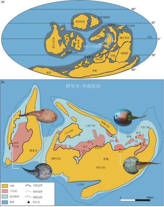 重磅发现：4.38 亿年前的长兴鱼，在新疆和浙江两地同时现身，再证大陆漂移假说