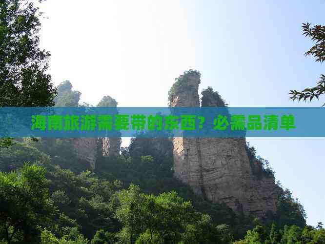 海南旅游必备物品清单：从证件到环保，30项实用准备指南