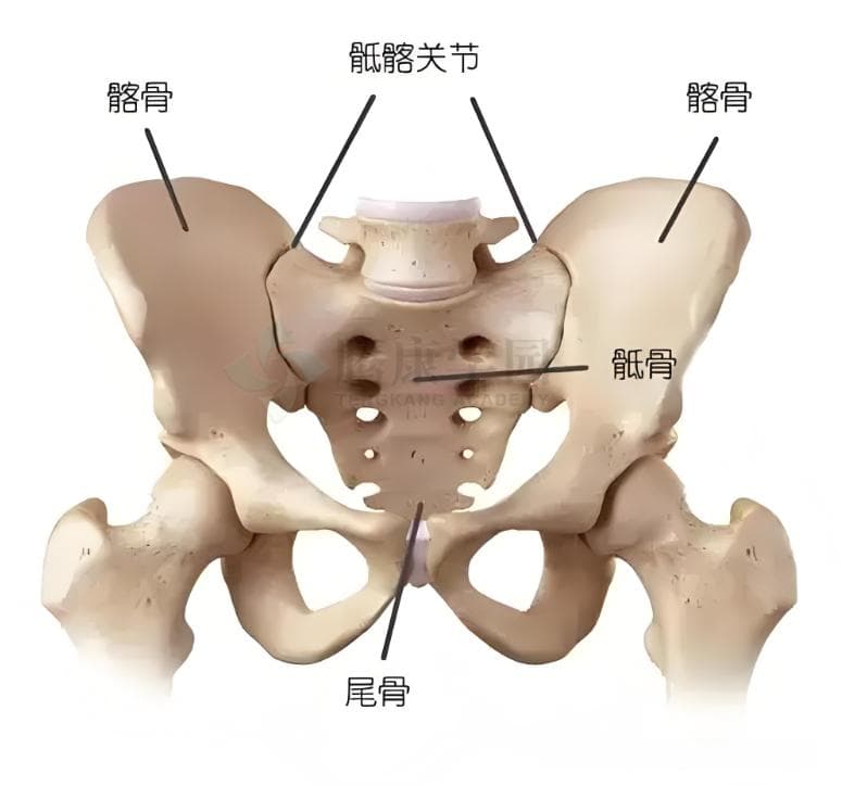 腰腿痛的“恶梦”：骶髂关节痛