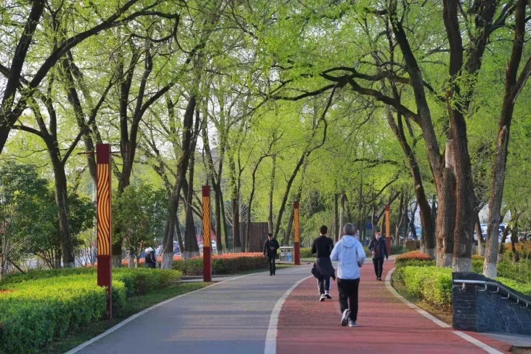 7个最简单的养生习惯，每天只要几十分钟，身体真会感谢你！
