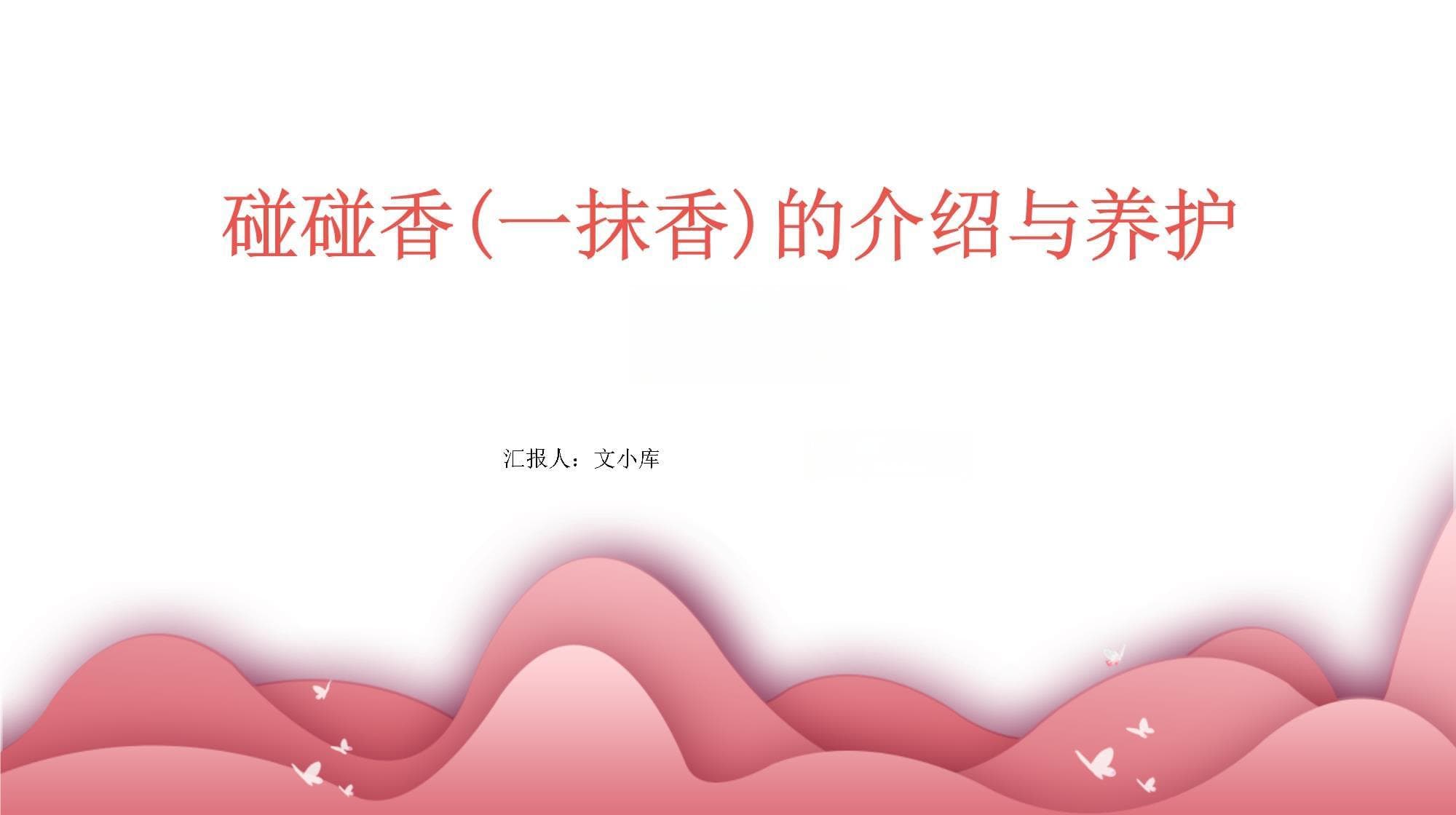 碰碰香(一抹香)的介绍与养护知识