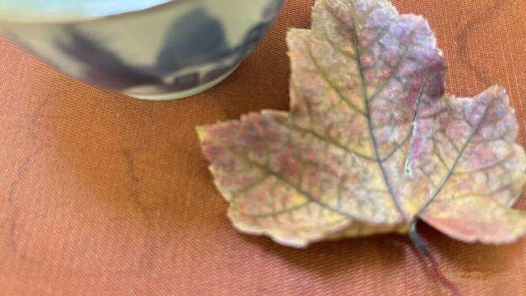 抑郁后，这几个职业选择是最好的