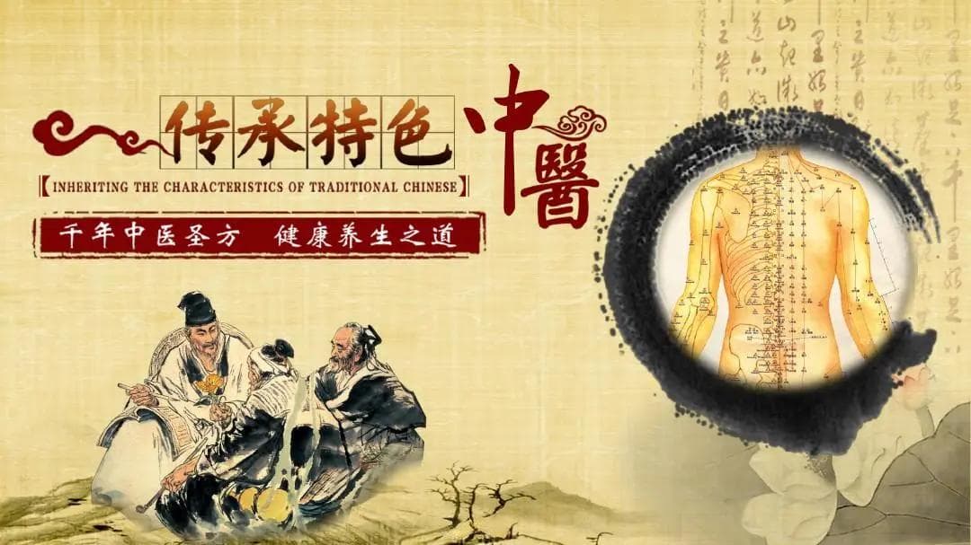 中医如何调理消化系统疾病？