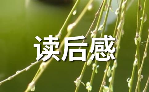 《扫毒》观后感：演技炸裂，剧情饱满