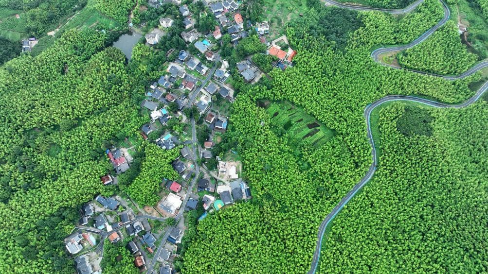 学用“千万工程”经验 打好乡村全面振兴漂亮仗