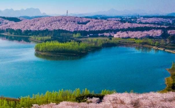 平坝樱花园：贵州最美赏樱胜地，交通、景点、美食全攻略