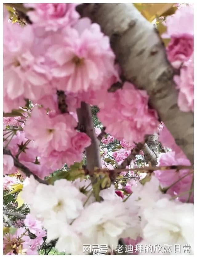 女人最满意的伴侣，是什么样子？