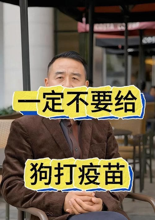 狗狗的体检和疫苗接种费用及流程解析