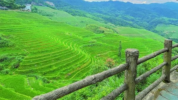 桂林旅游最佳时间是几月？说说桂林游什么季节去最好