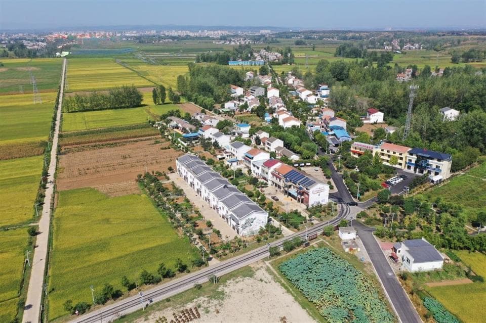 “千万工程”经验推进“共同缔造”，老河口市张庄村：大步向“幸福乡村”迈进