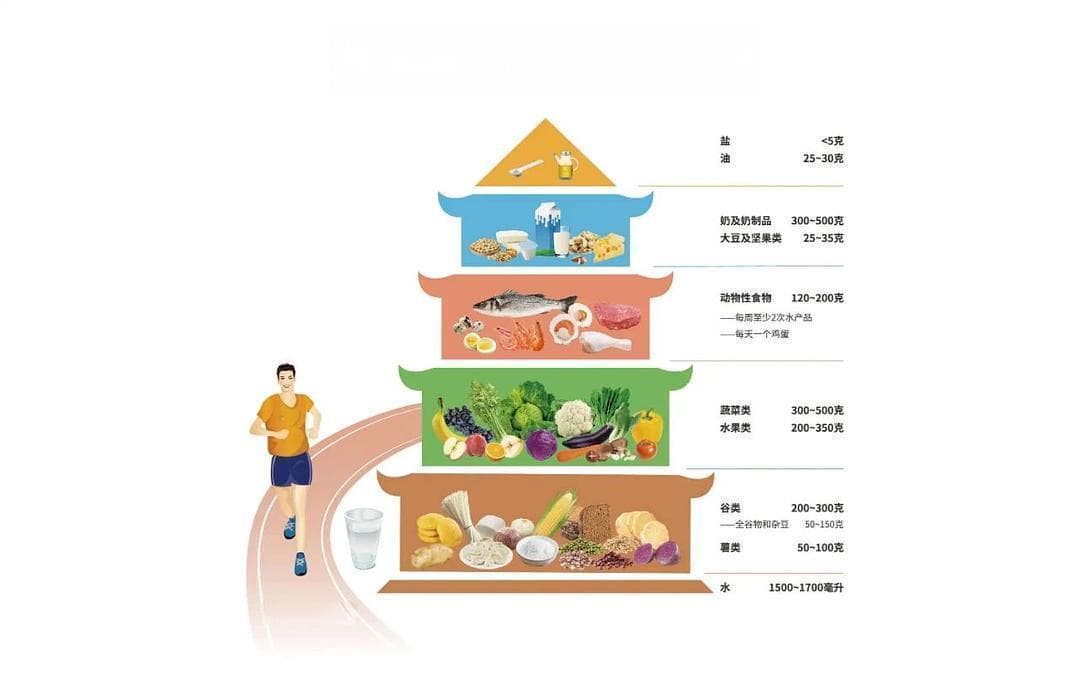 看懂平衡膳食金字塔，吃得更科学、更健康